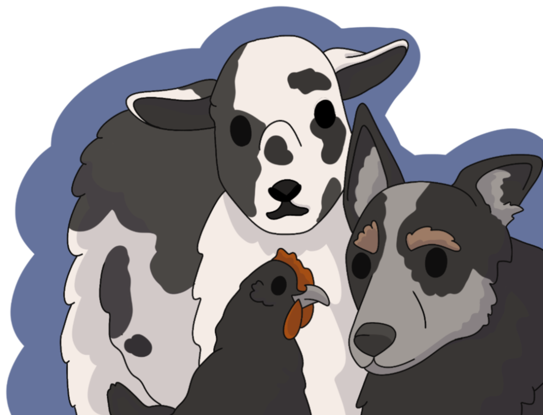 Hand-drawn illustration of a lamb, chicken, and blue-heeler dog