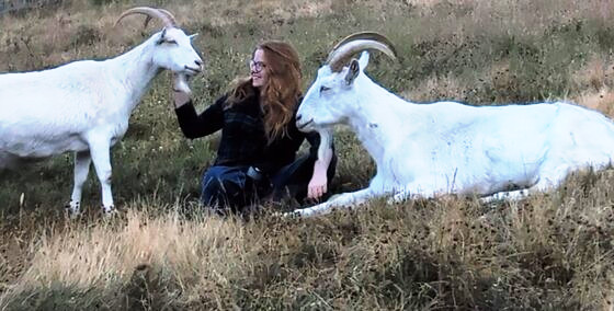 Isabella between two white goats